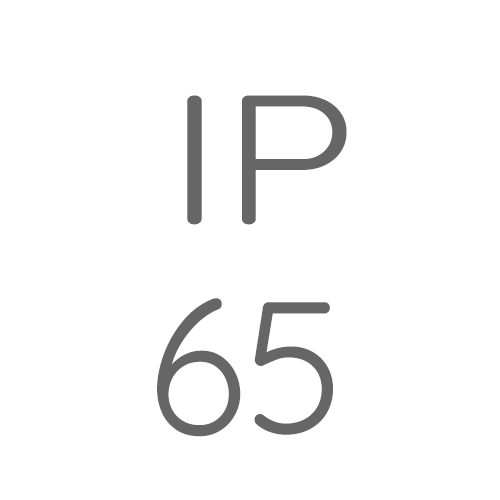 IP65