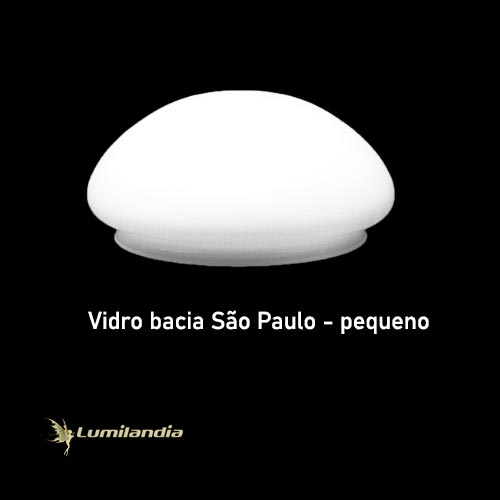 Globo de Vidro Bacia São Paulo Leitoso Pequeno