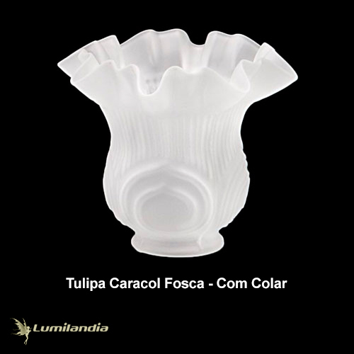 Tulipa Caracol de Vidro com Colar