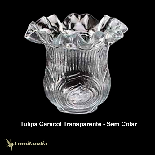 Tulipa Caracol de Vidro sem Colar