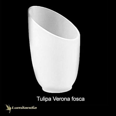Tulipa Manga Verona de Vidro
