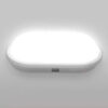 Luminária de Parede Arandela Externa Oval IP65 LED Integrado